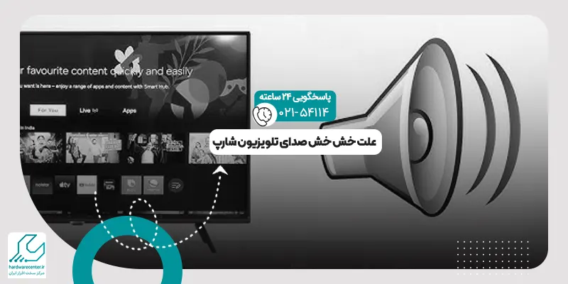 خش خش صدای تلویزیون